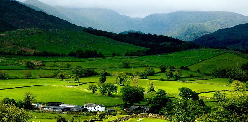 9N10D itangr-ziro-aalo-nmeri