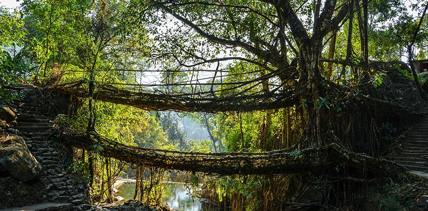 9N10D shillong-cherra- double decker